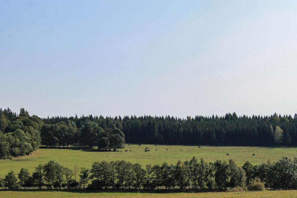 Photograph by Elizaveta Semenova