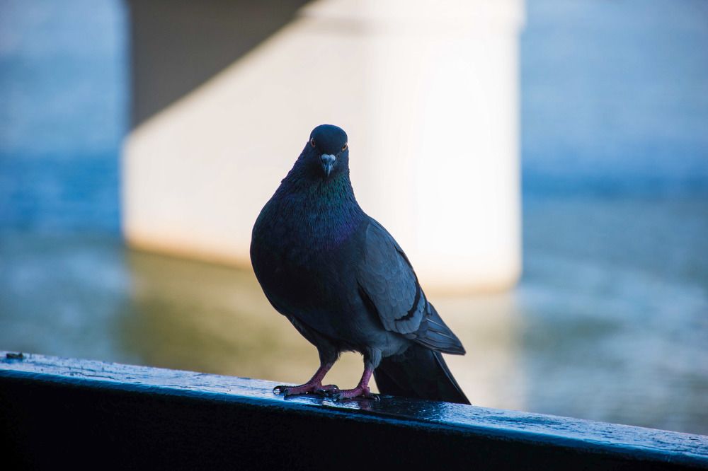 Photograph by Saule Zanginova