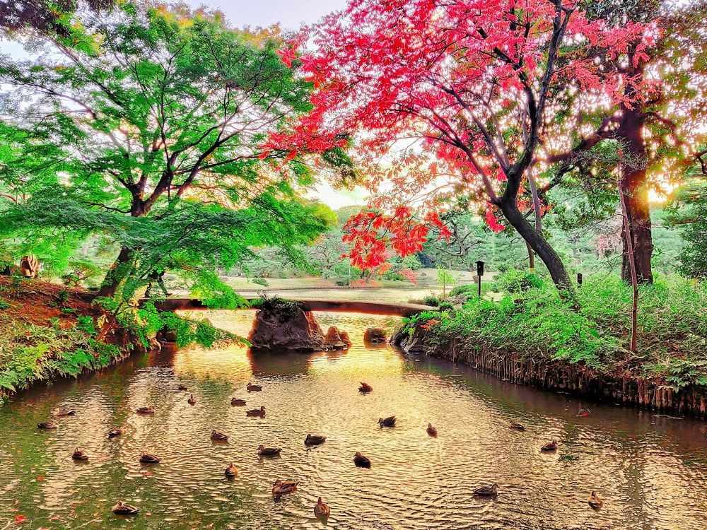 Stone bridge of the Edo period.