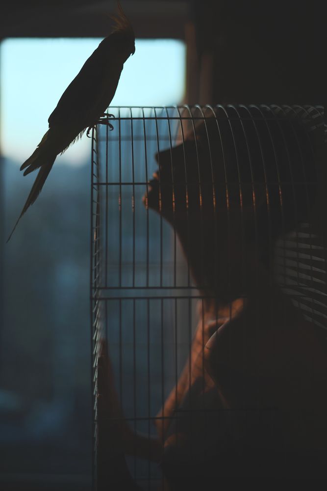 Photograph by Саша Парасич