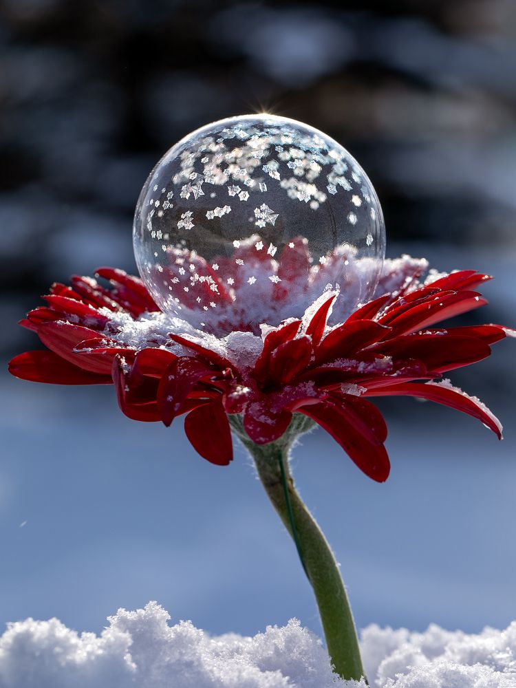 Фотография автора Зоя Галимова