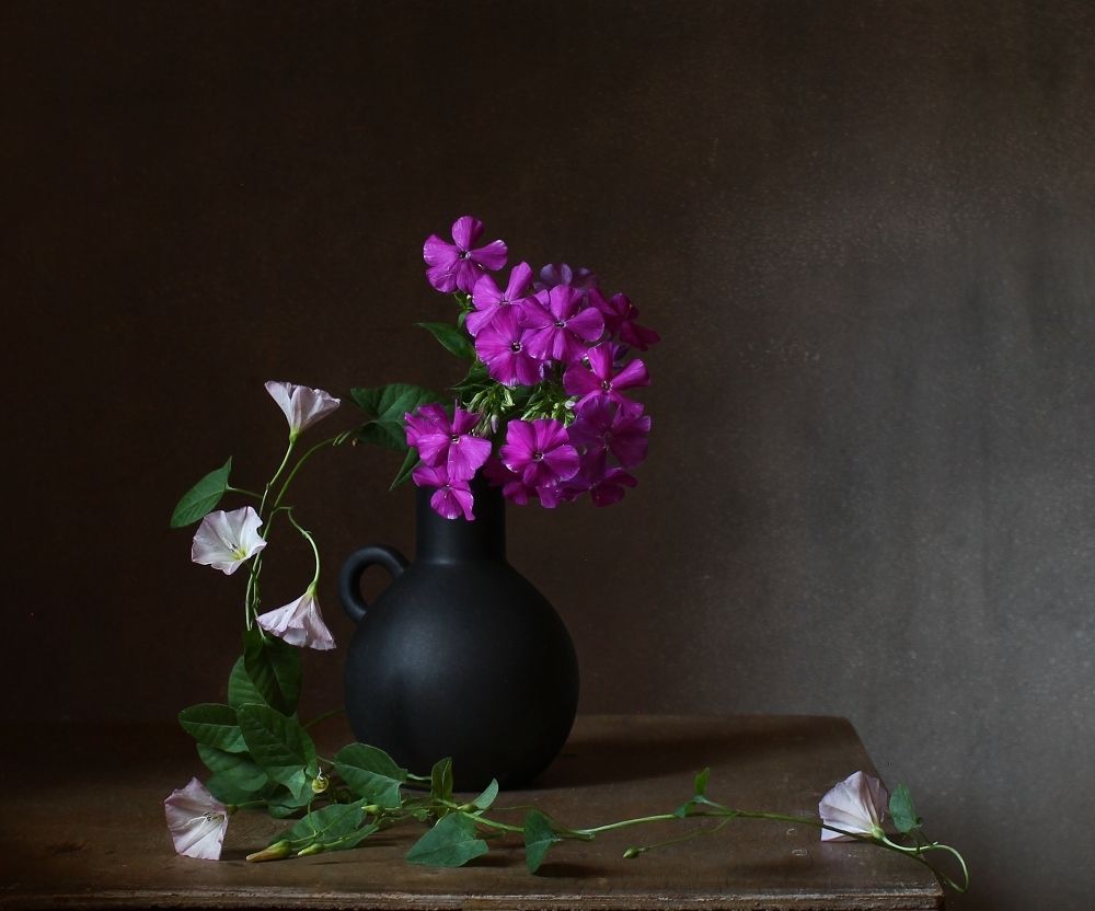 Photograph by Курочкина Диана