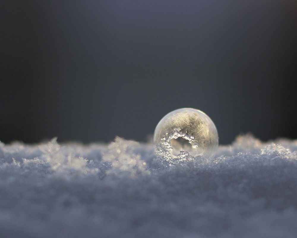 Фотография автора Анна Кравченко