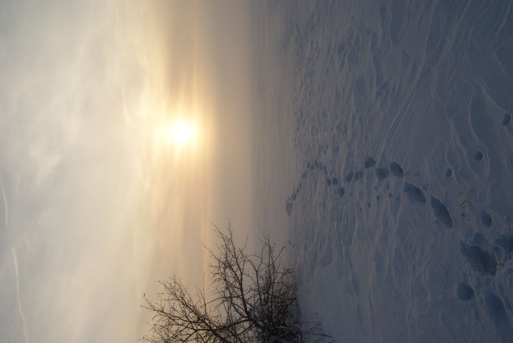 Photograph by Дмитрий Ревищин