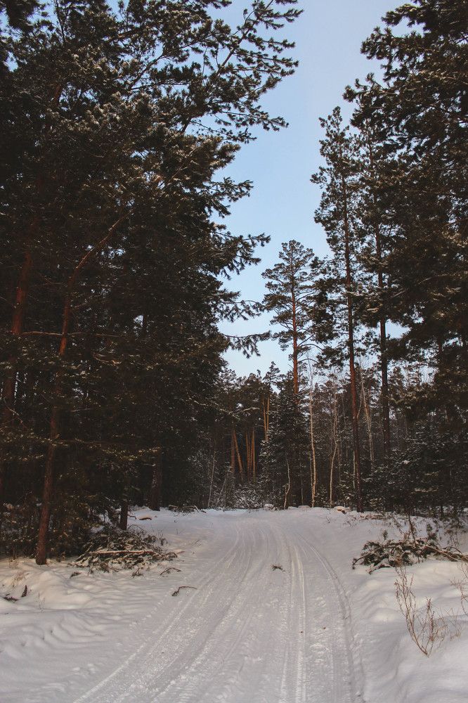 Photograph by Кристина Чепынина