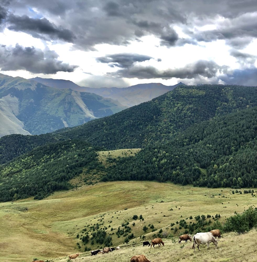 Фотография автора Ислам Алиев