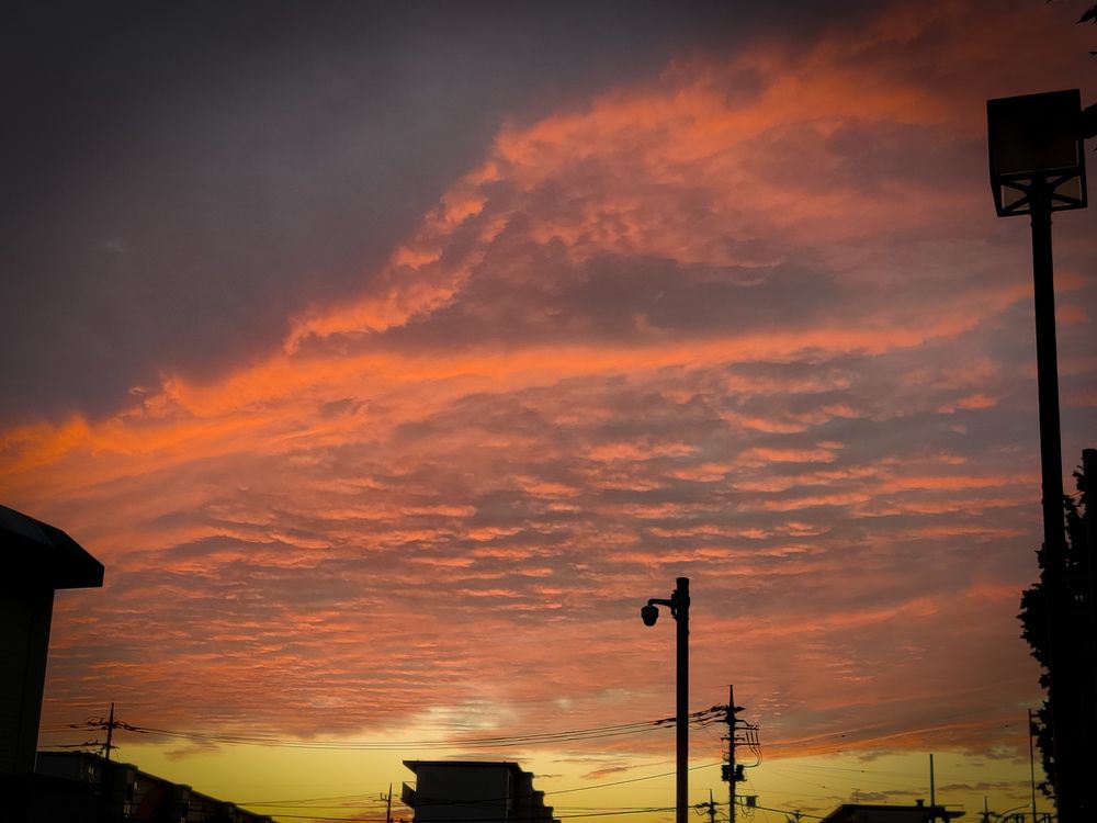 Photograph by Kavuri Hima Annapoorna