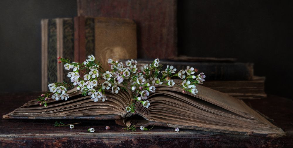 Букетик на старых страницах...