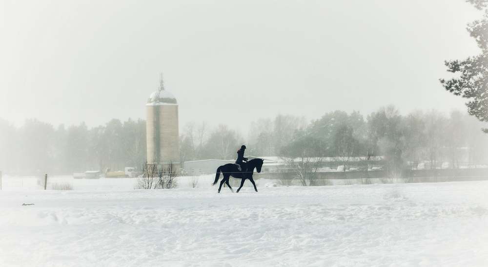 Photograph by Jelena Dzene