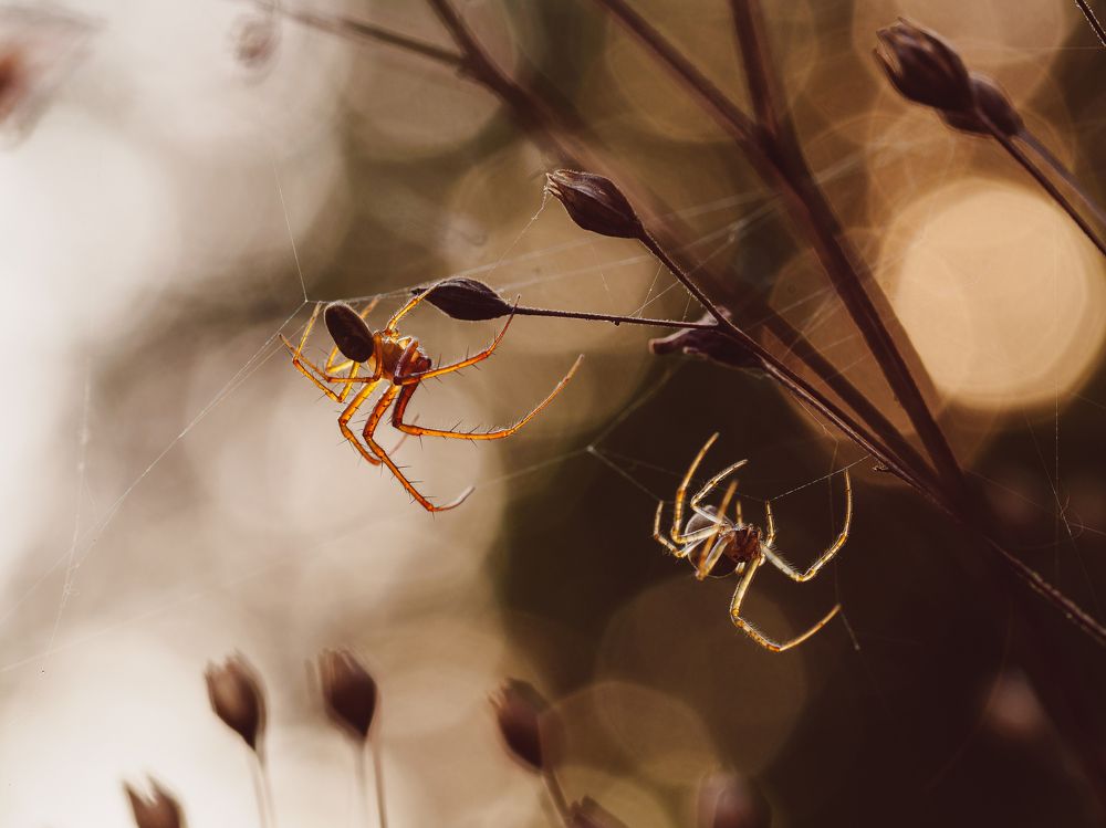 Photograph by Дмитрий Григорьев