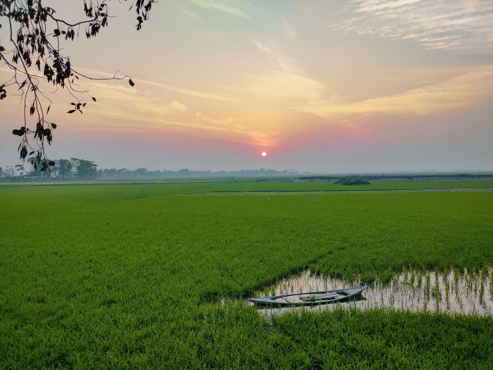 Photograph by Sameer Dash