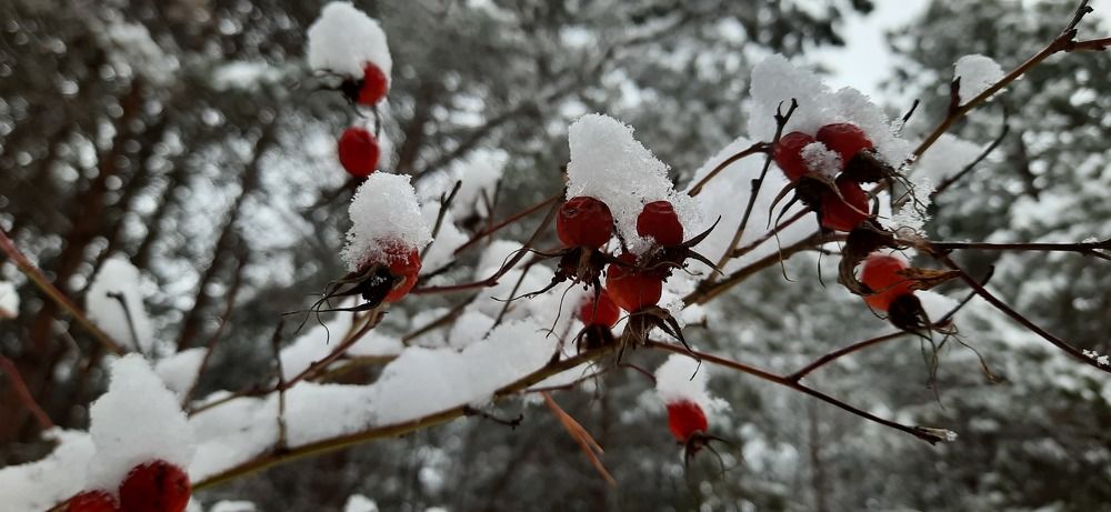 Photograph by Анна Ершова
