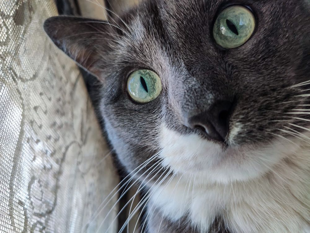 Photograph by Антон Григорьев