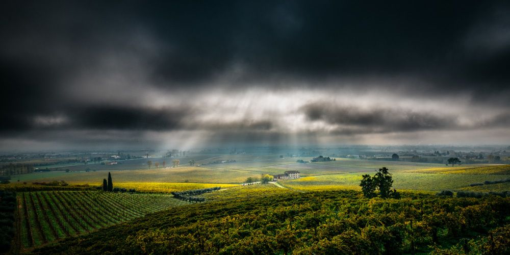 Photograph by Arcangelo Piai