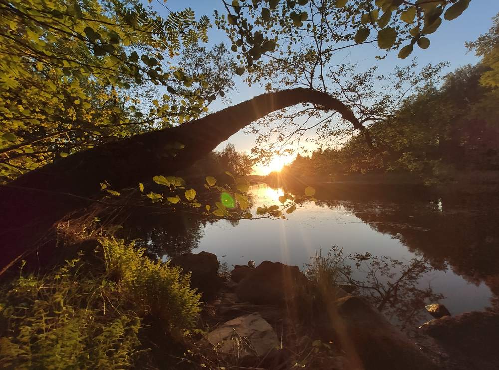 Photograph by Антон Григорьев