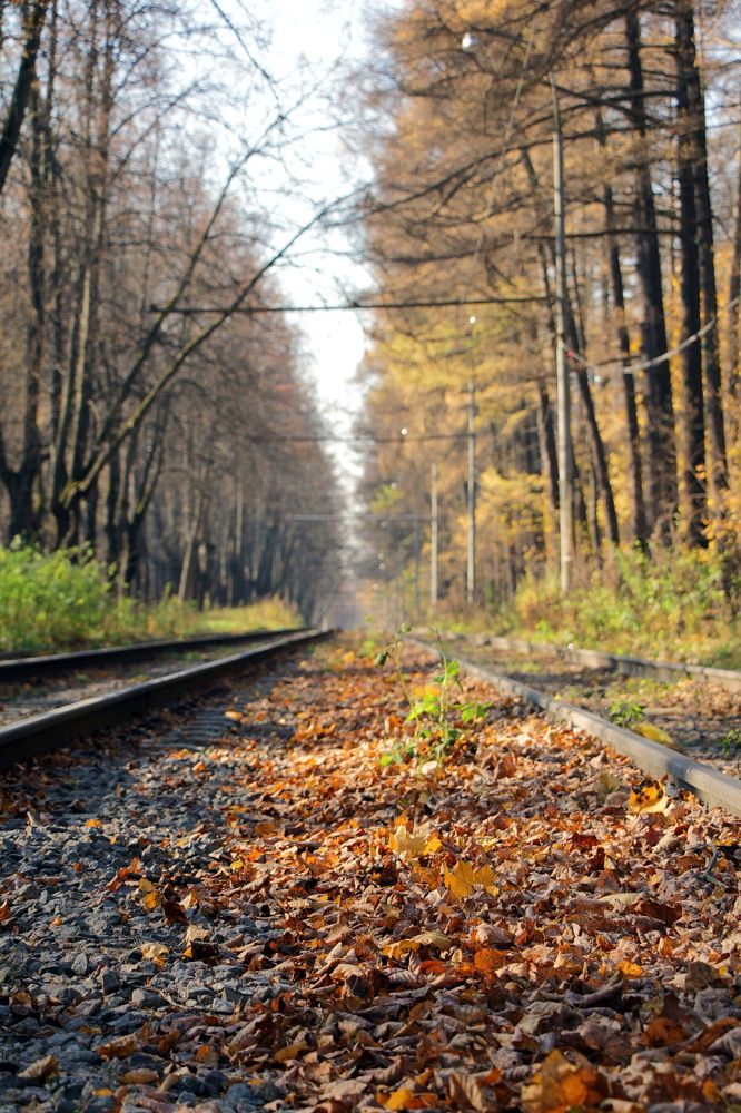 Московский трамвай.