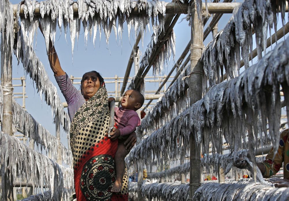Dry fish for Green life