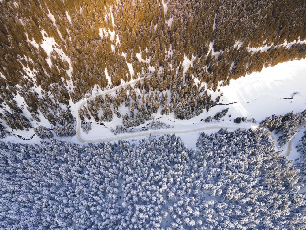 Photograph by Barbu Laurentiu