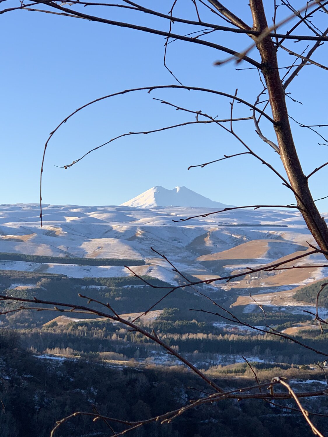 Photo #5702644