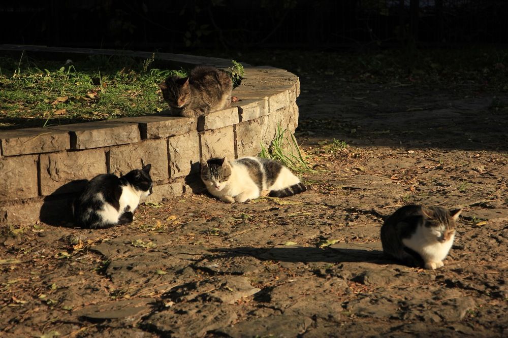 Photograph by Kamil Önügör