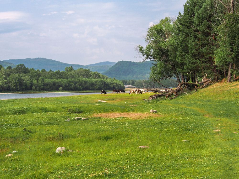 Photograph by Юля Стриж