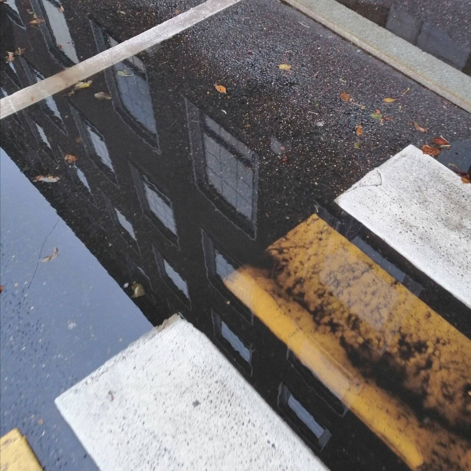 Photo #5702729