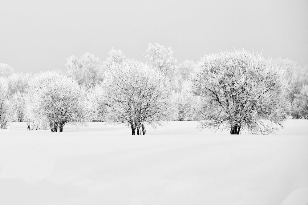 Зимний пейзаж.