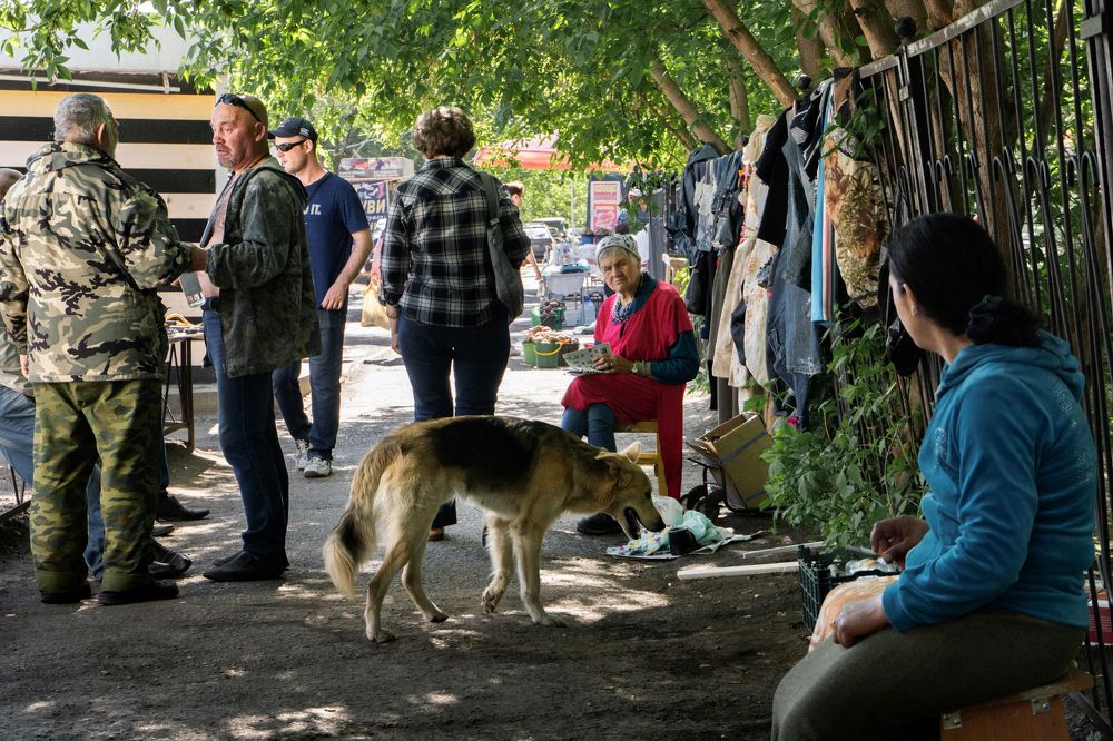 Photograph by Щербакова Галина