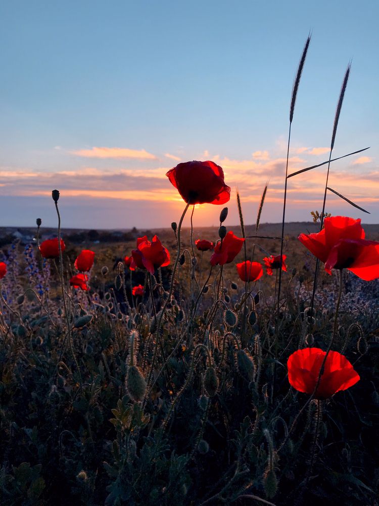 Photograph by Юлия Рудакова