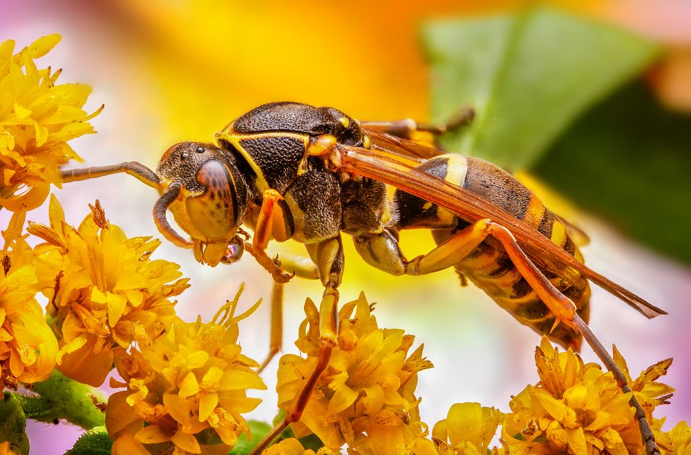 Photograph by Иван Радьков