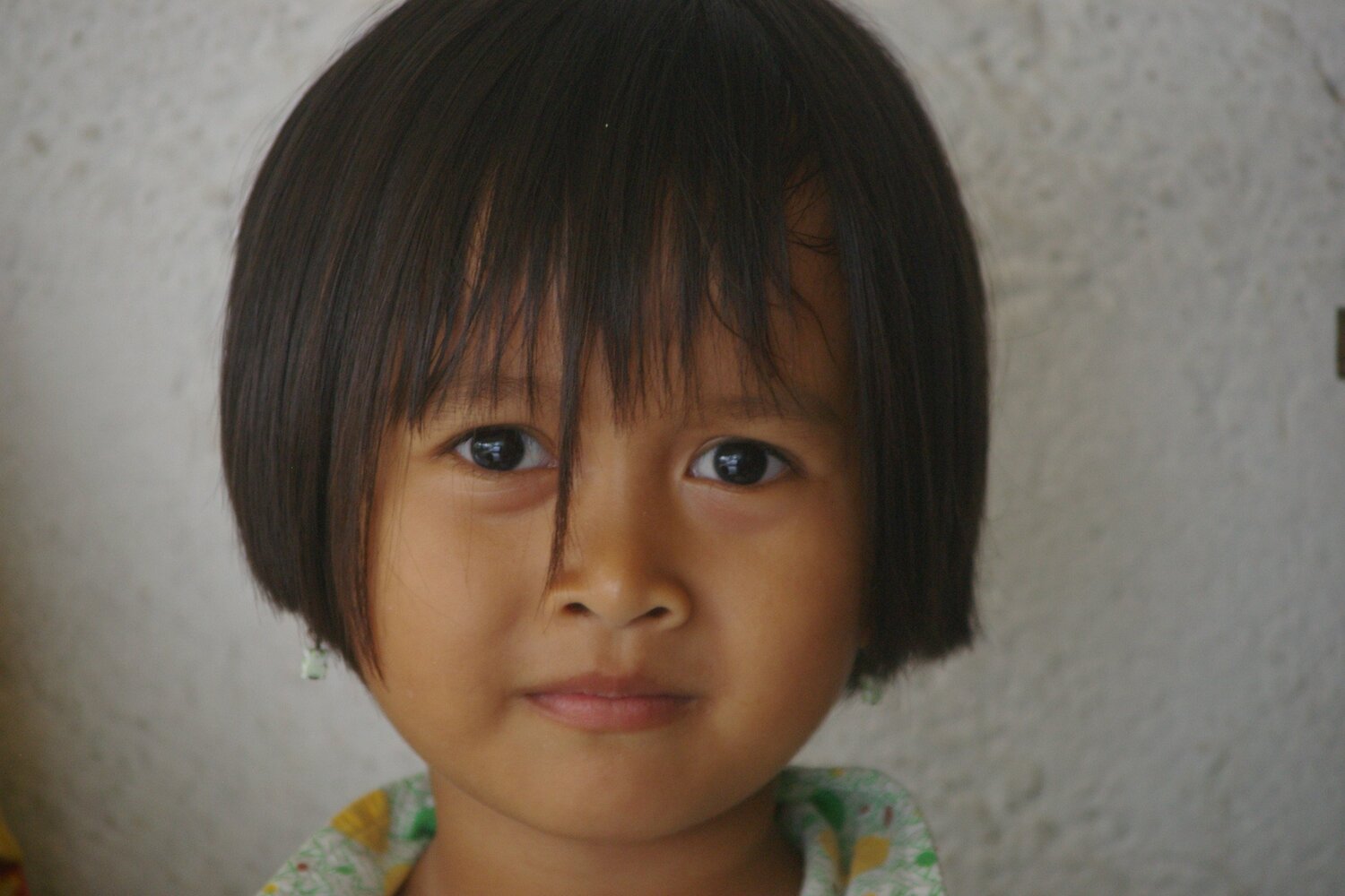 Photo #5702940