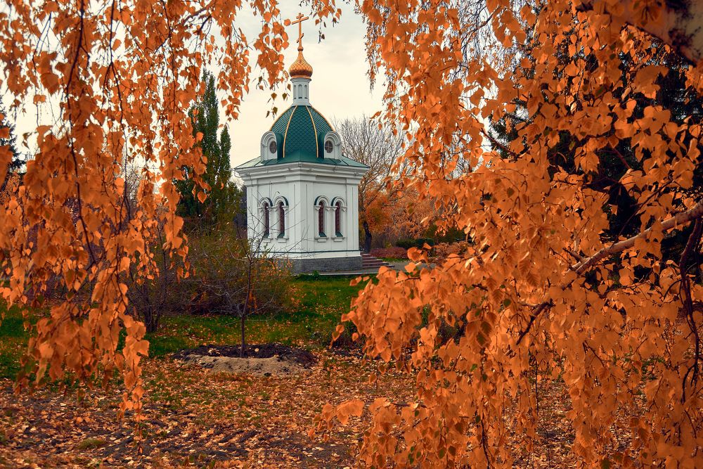 Фотография автора Вячеслав Владимирович