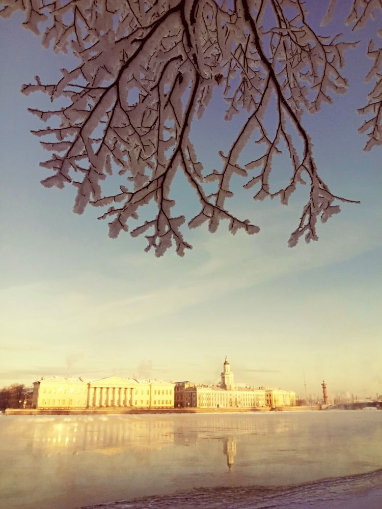Photo #5703099