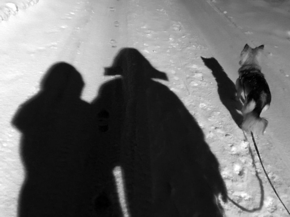 вечерняя прогулка с Наполеоном