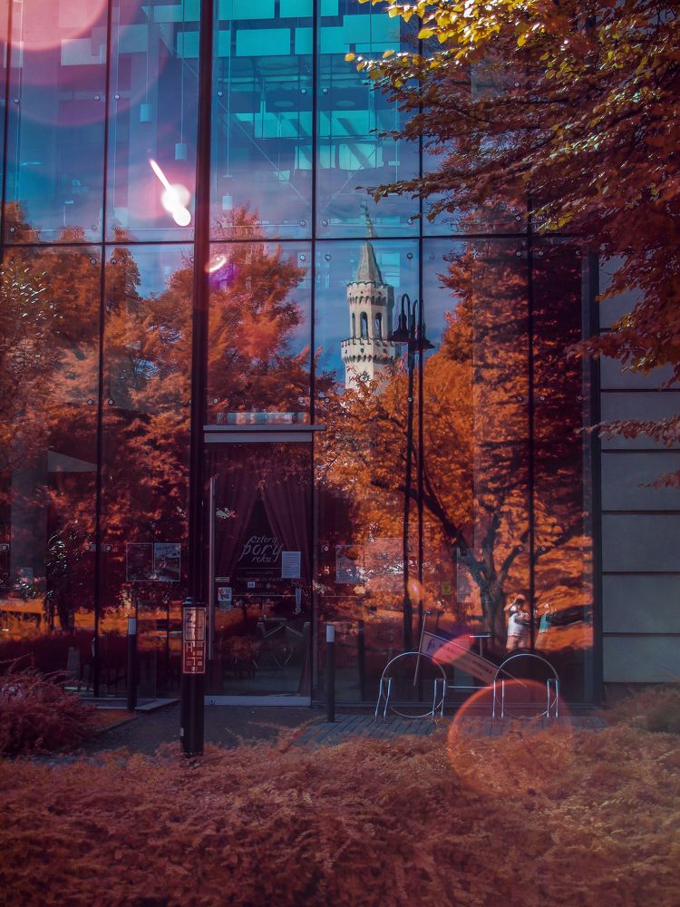 Photograph by Robert Oldakowski