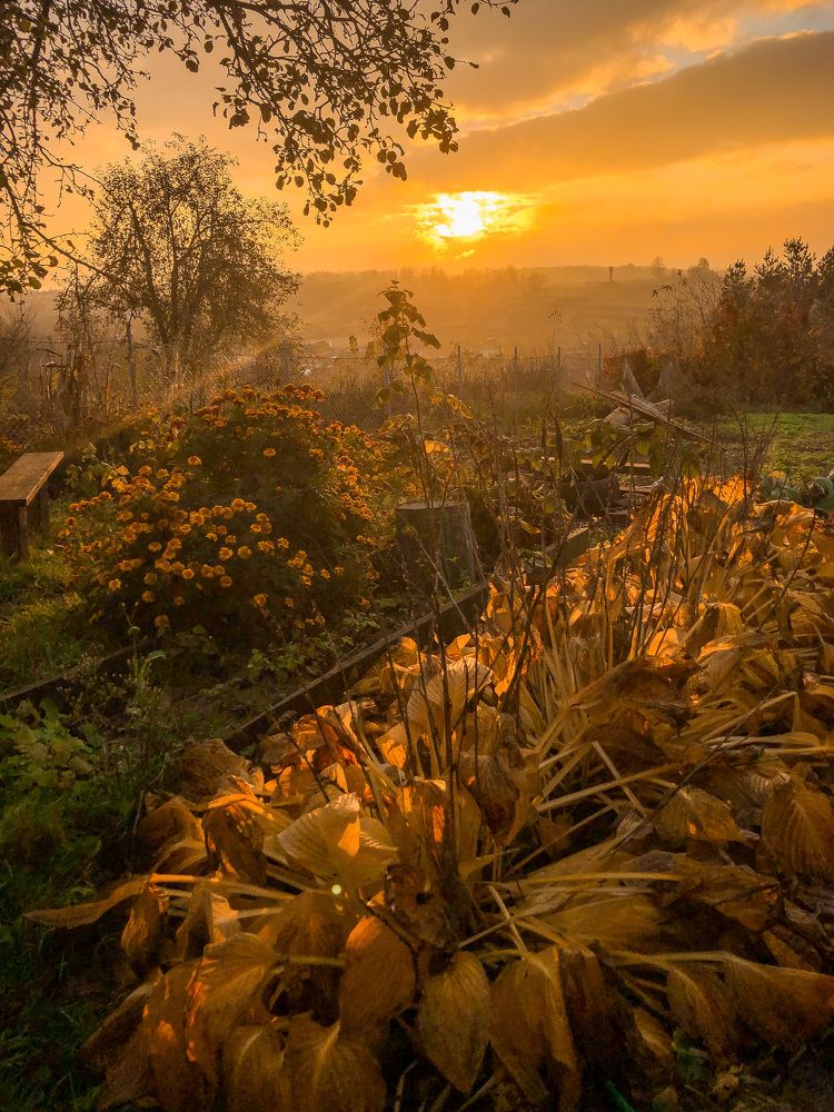 Photograph by Мария Бочкова