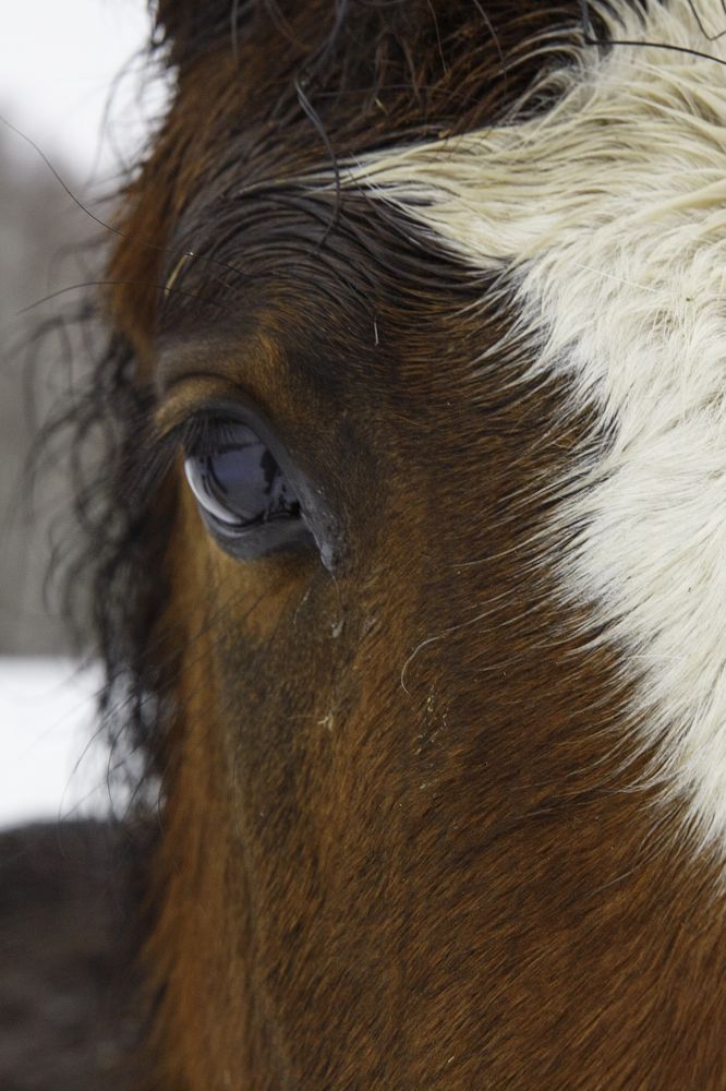 Фотография автора Елена Кошкина