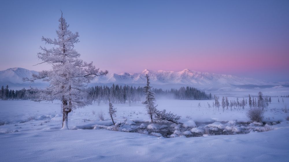 Под поясом Венеры