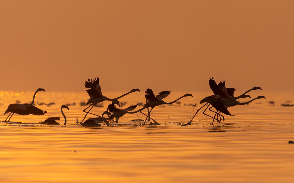 Photograph by Sunil Dhar