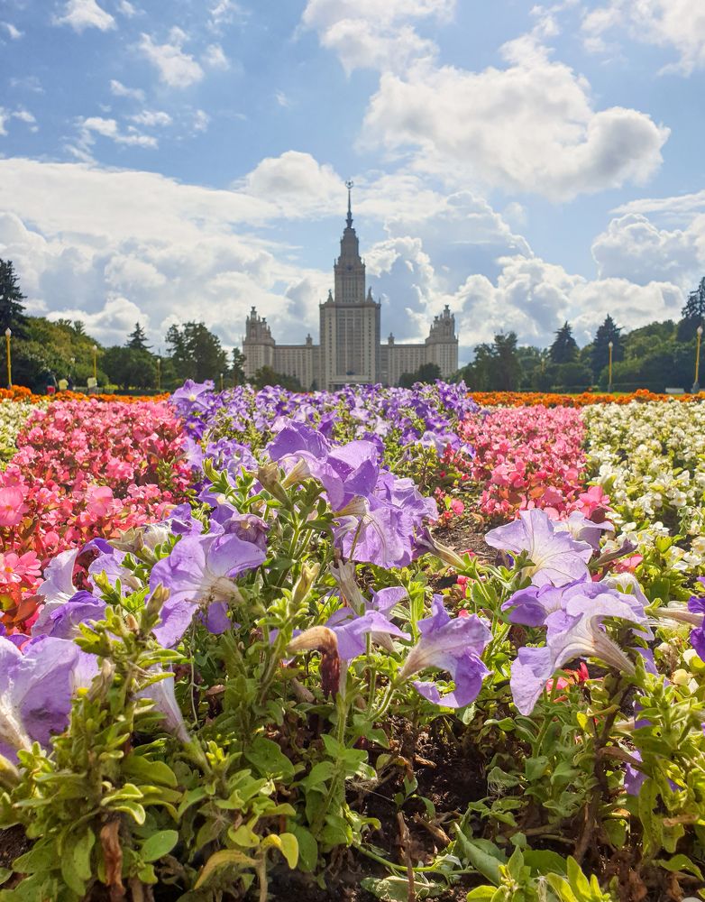 Photograph by Елена Димова