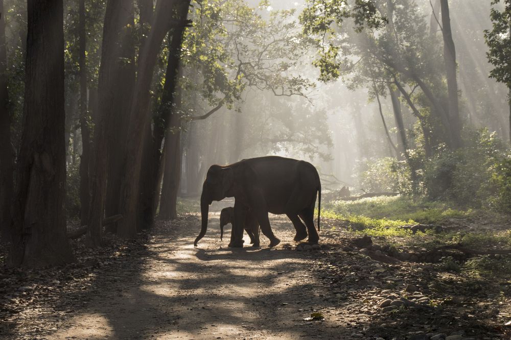 Photograph by Dheeraj mali