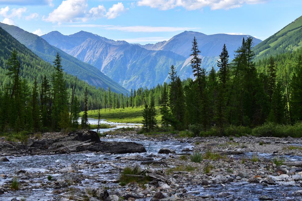 Река  Шавла, Горный Алтай