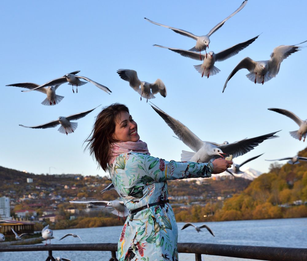 Девушка кормит чаек.