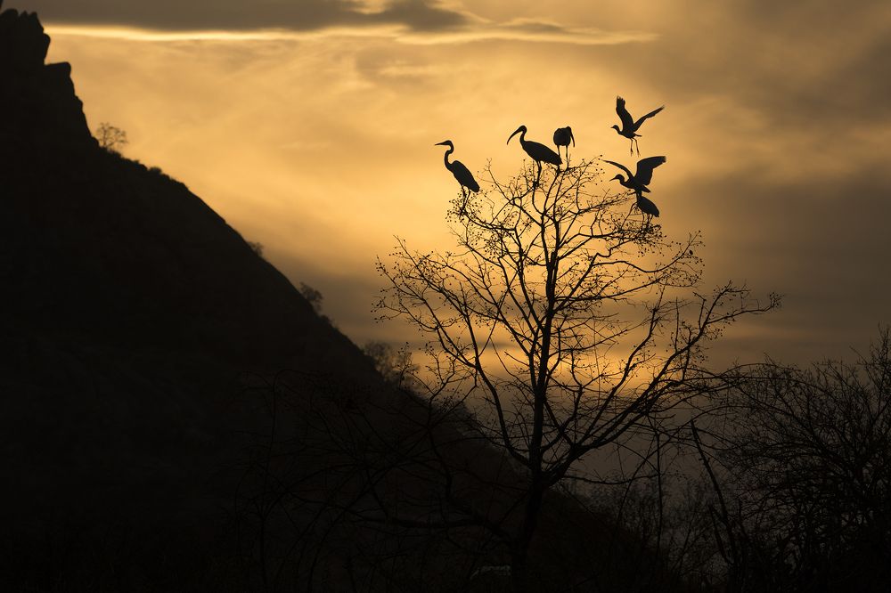 Photograph by Dheeraj mali