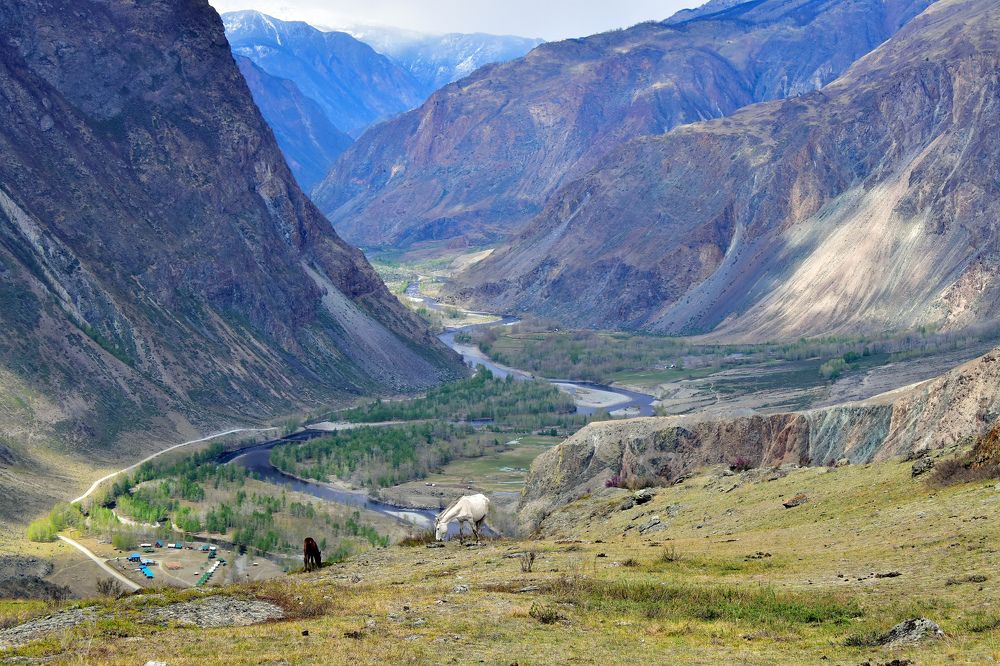 Долина Чулышман, Горный Алтай