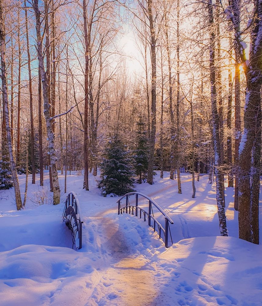 Морозный день.