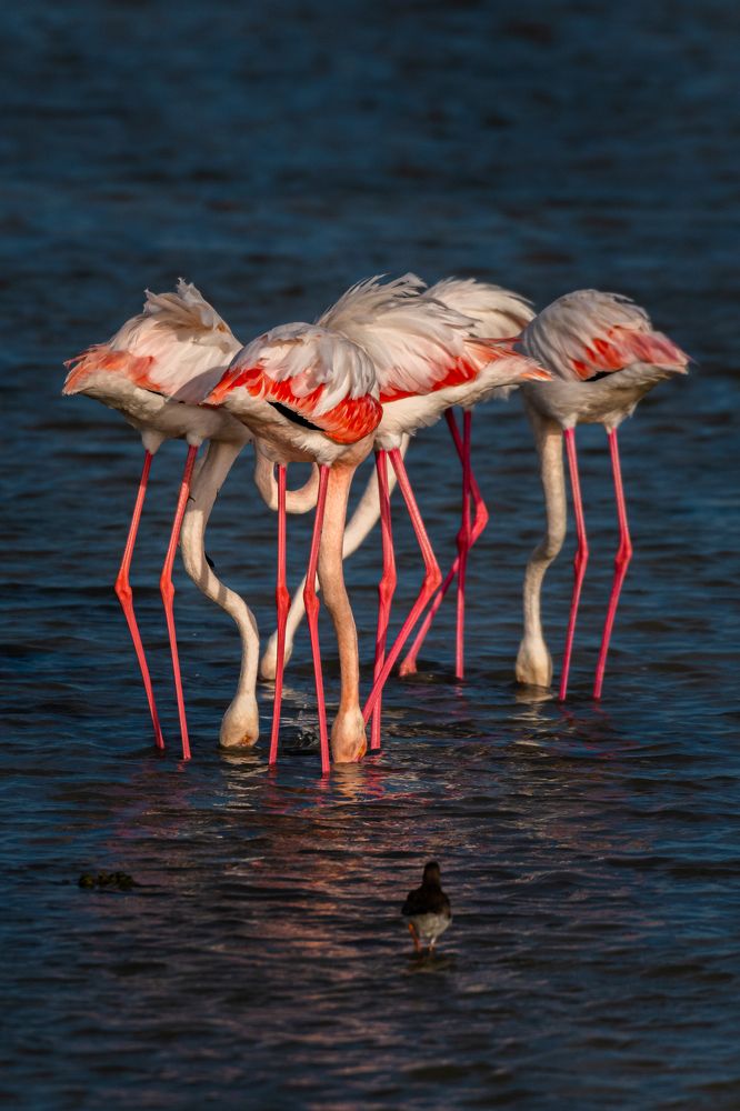 Photograph by Sunil Dhar