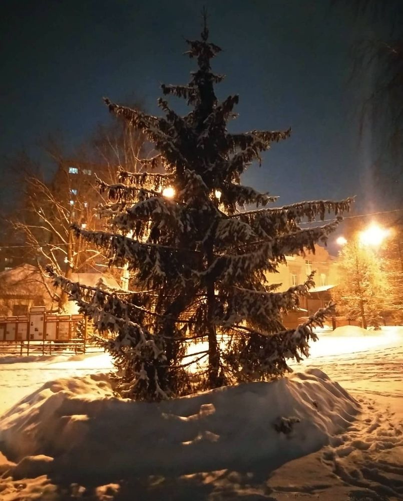 На территории Храма Преображения Господня в Жуковском