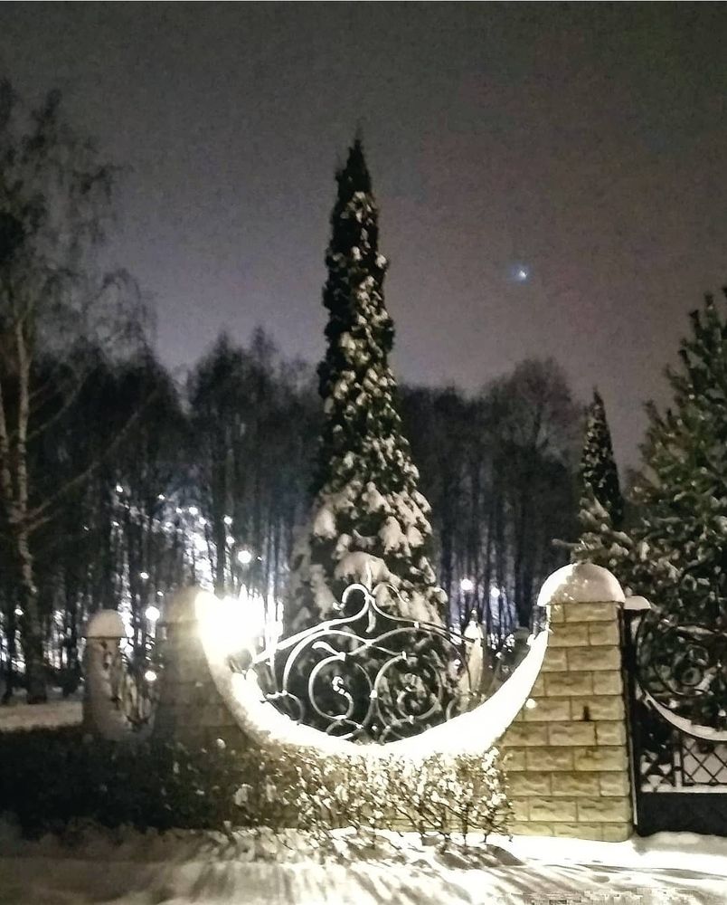 Фотография автора Елена Савельева