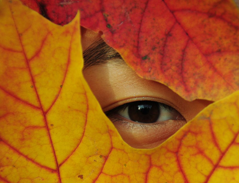 Photograph by Екатерина Носенко